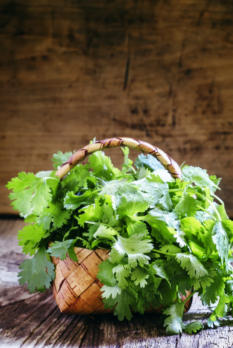 Fresh cilantro in a wicker basket, vintage wooden background, se