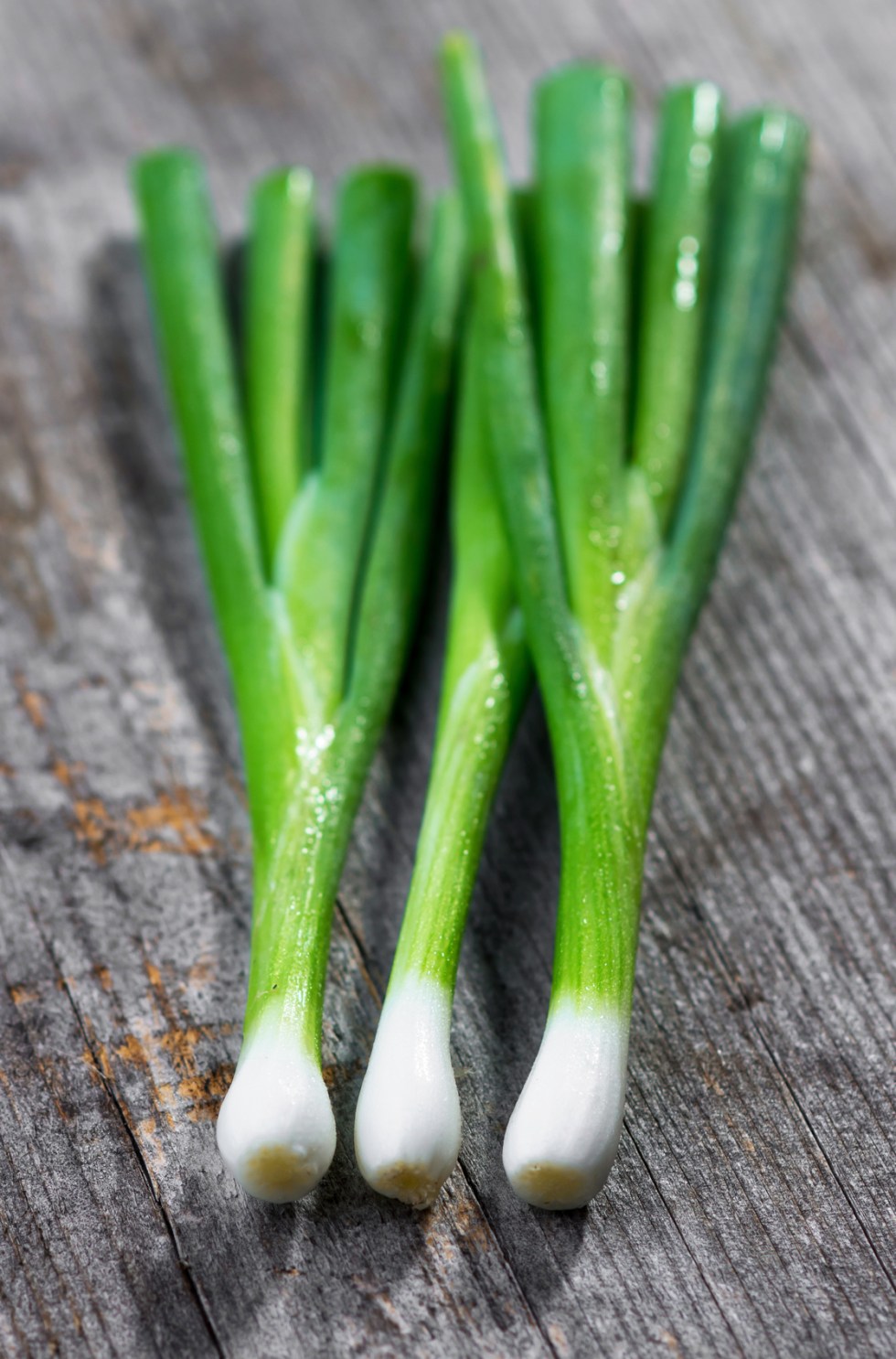Organic spring onions on old wooden background