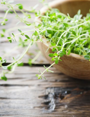 Fresh green thyme on the wooden table