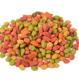 Pile of dry pet food on white background
